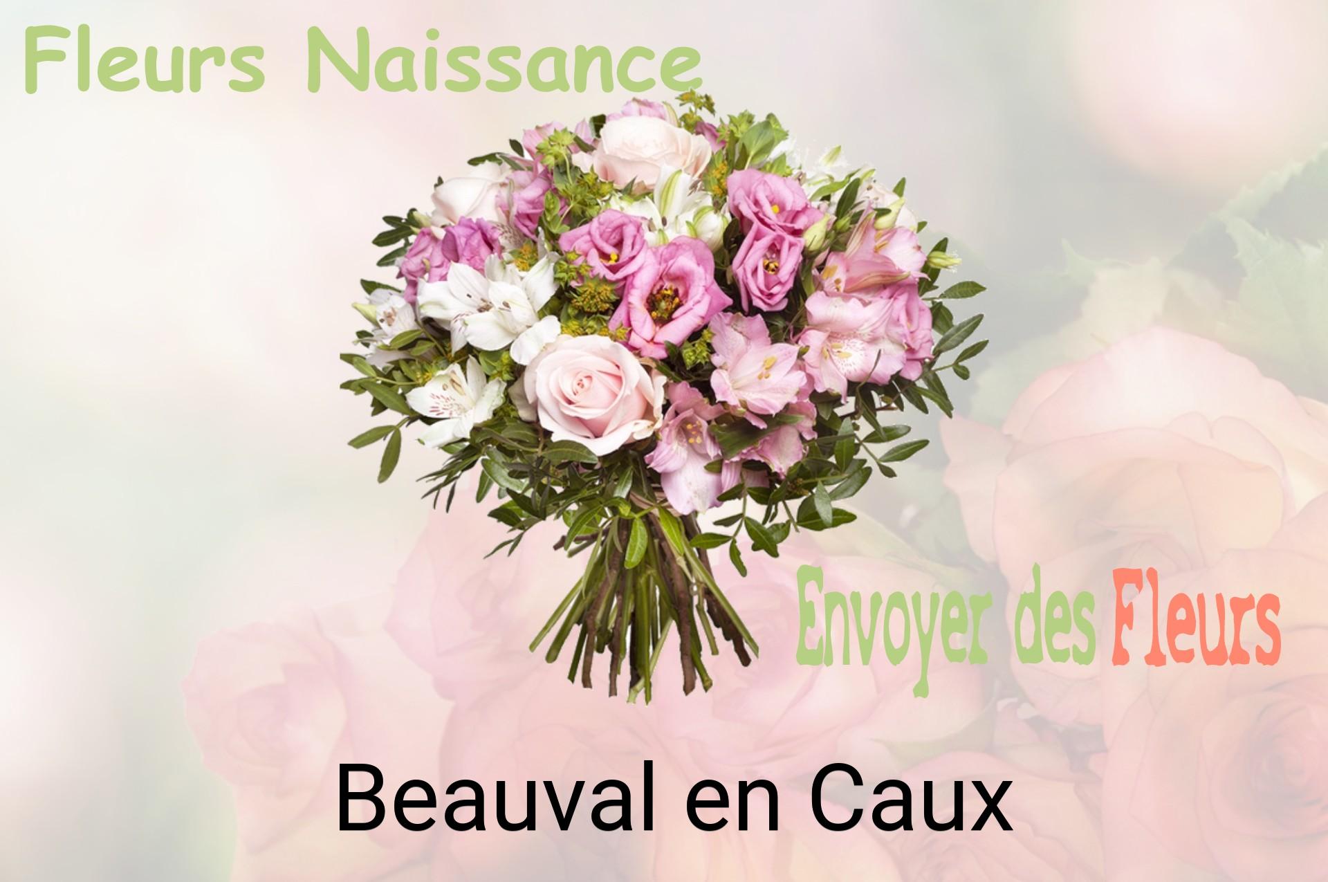 Bouquet de fleurs de naissance livré à Beauval-en-Caux